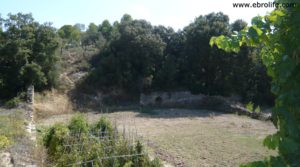 Masía con huerto en Santa Ana Calaceite para vender con piscina