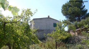 Detalle de Masía con huerto en Santa Ana Calaceite con agua