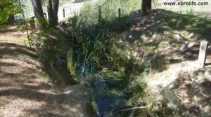 Masía con huerto en Santa Ana Calaceite a buen precio con agua