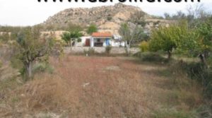 Foto de Finca y casa en el embalse de Caspe en venta con almendros por 48.000€