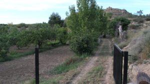 Finca y casa en el embalse de Caspe en oferta con almendros