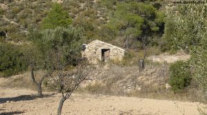 Vendemos Cabaña en Nonaspe con monte