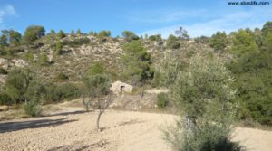 Cabaña en Nonaspe en oferta con bosque