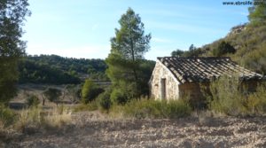 Cabaña en Nonaspe a buen precio con olivos centenarios por 9.000€