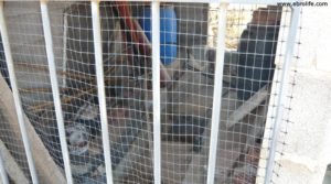 Foto de Masía en el rio algars Calaceite en venta con almendros por 42.000€