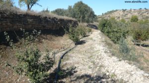 Foto de Masía en el rio algars Calaceite en venta con olivos por 42.000€