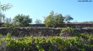 Detalle de Masía en el rio algars Calaceite con agua