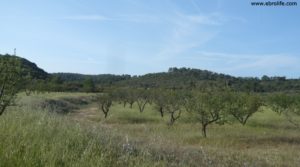 Foto de Gran finca en Fabara en venta con rio algars