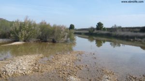 Foto de Gran finca en Fabara en venta con corrales