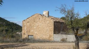 Detalle de Olivar Con Masía en Maella con almendros por 56.000€