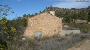 Olivar Con Masía en Maella a buen precio con pinares