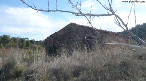 Detalle de Olivar Con Masía en Maella con viñas