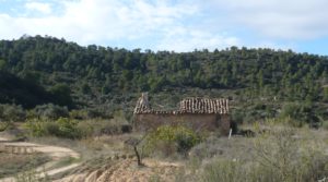 Foto de Olivar Con Masía en Maella con viñas