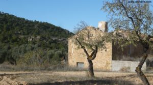 Foto de Olivar Con Masía en Maella con viñas