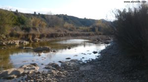 Vendemos Finca de Regadio en Nonaspe con frutales