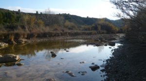 Finca de Regadio en Nonaspe para vender con olivos