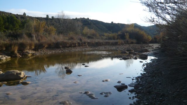 Finca de Regadio en Nonaspe