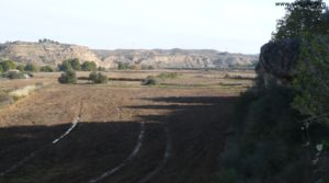 Detalle de Huerta en Caspe con riego abundante