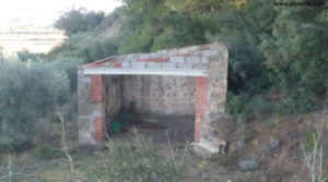 Vendemos Huerta en Caspe con pinares por 26.000€