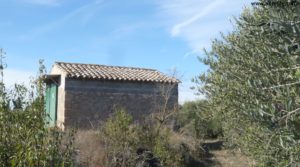 Se vende Soto en Caspe con zonas de baño