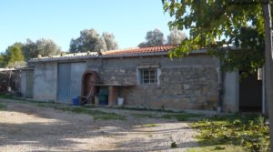 Detalle de Masia en la Huerta de Caspe con higueras