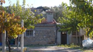 Detalle de Masia en la Huerta de Caspe con higueras por 29.000€