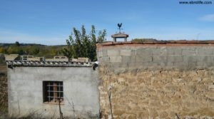 Masia en la Huerta de Caspe a buen precio con almendros