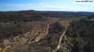 Vendemos Finca en Calaceite con pozo de agua por 86.000€