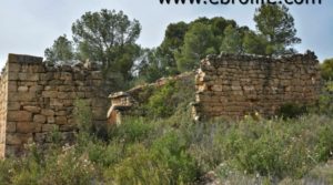 Vendemos Finca en Calaceite con olivos centenarios