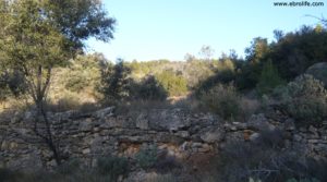 Se vende Finca trufera en Rafales con río