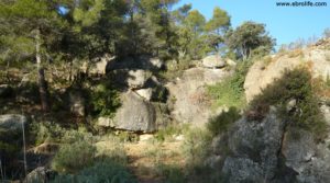 Detalle de Finca trufera en Rafales con encinas