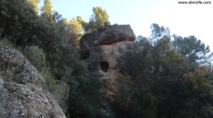 Vendemos Finca trufera en Rafales con río