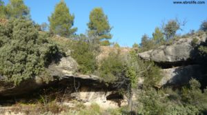 Finca trufera en Rafales en venta con desconectar por 95.000€