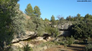 Vendemos Finca trufera en Rafales con río