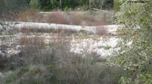 Foto de Olivar en el rio Tastavins en Fuenteespalda en venta con pozo de agua