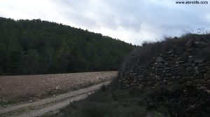 Masia con arroyo en Fuenteespalda a buen precio con montañas por 45.000€