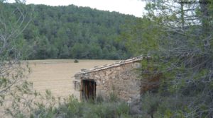 Detalle de Masia con arroyo en Fuenteespalda con bosques