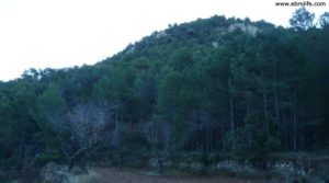 Se vende Masía del horno Fuentespalda con almendros