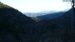 Foto de Masía del horno Fuentespalda con bosques