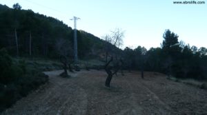 Se vende Masía del horno Fuentespalda con bosques por 160.000€