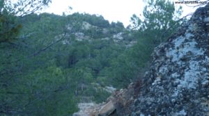 Masía del horno Fuentespalda a buen precio con bosques