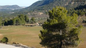 Se vende Masía con agua cerca de Fuenteespalda