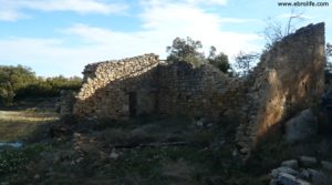 Foto de Olivar joven en Cretas en venta con montaña