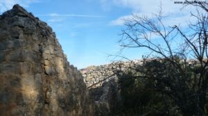 Foto de Olivar joven en Cretas con montaña