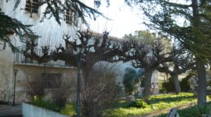 Detalle de Gran casa de campo en Maella con tranquilidad