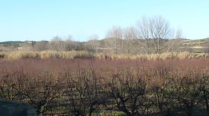 Vendemos Gran casa de campo en Maella con río