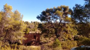 Olivar con casa de piedra en Maella. a buen precio con privacidad