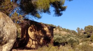 Foto de Olivar con casa de piedra en Maella. con privacidad