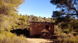 Olivar con casa de piedra en Maella. para vender con tranquilidad por 23.000€