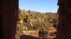 Vendemos Olivar con casa de piedra en Maella. con privacidad